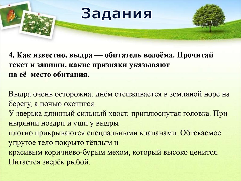 Какой план подойдет для характеристики природного сообщества