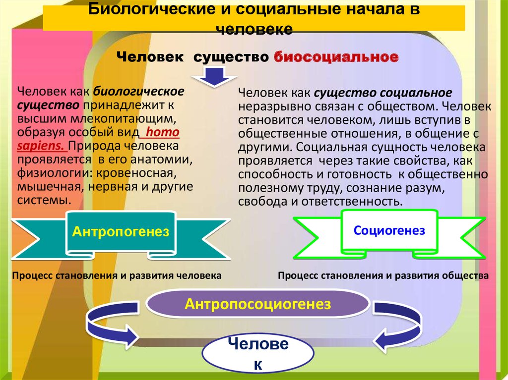 Межличностные роли связаны с