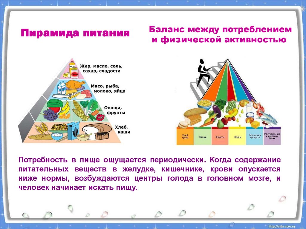 Баланс питания. Пирамида физической активности. Пирамида баланса питания. Пищевая пирамида 5 класс. Пирамида питания и физическая активность.