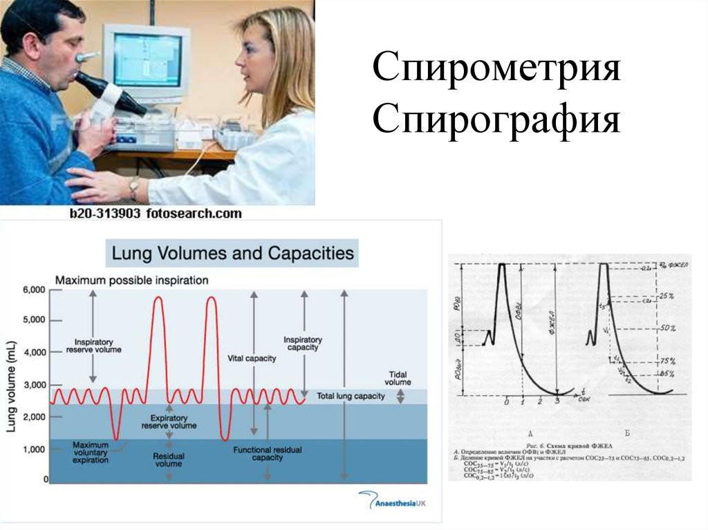 Фвд спирография