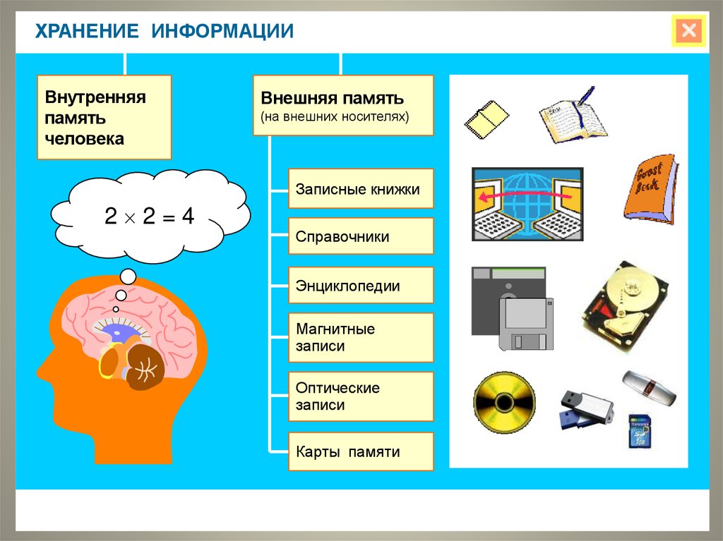 Укажите для каждого примера информационный носитель. Схема информационные процессы 7 класс Информатика. Хранение информации. Хранение информации это в информатике. Внешняя память человека.