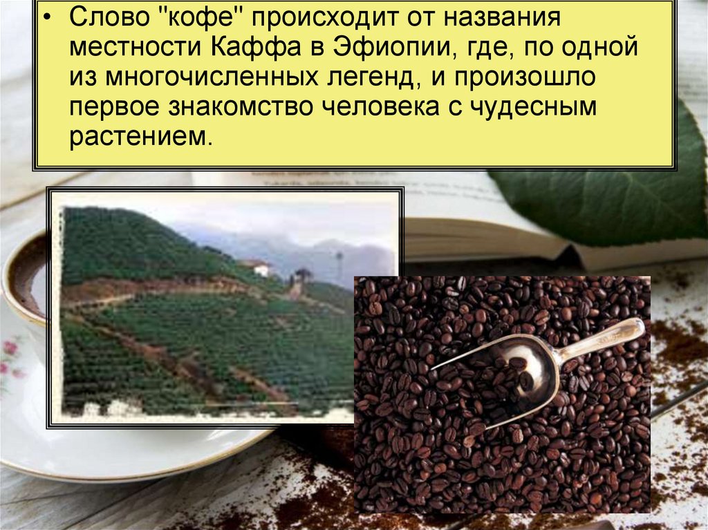 Словосочетание слова кофе. Кофе для презентации. Информация о кофе. Эфиопское кофе презентация. Вопросы о кофе в презентации.