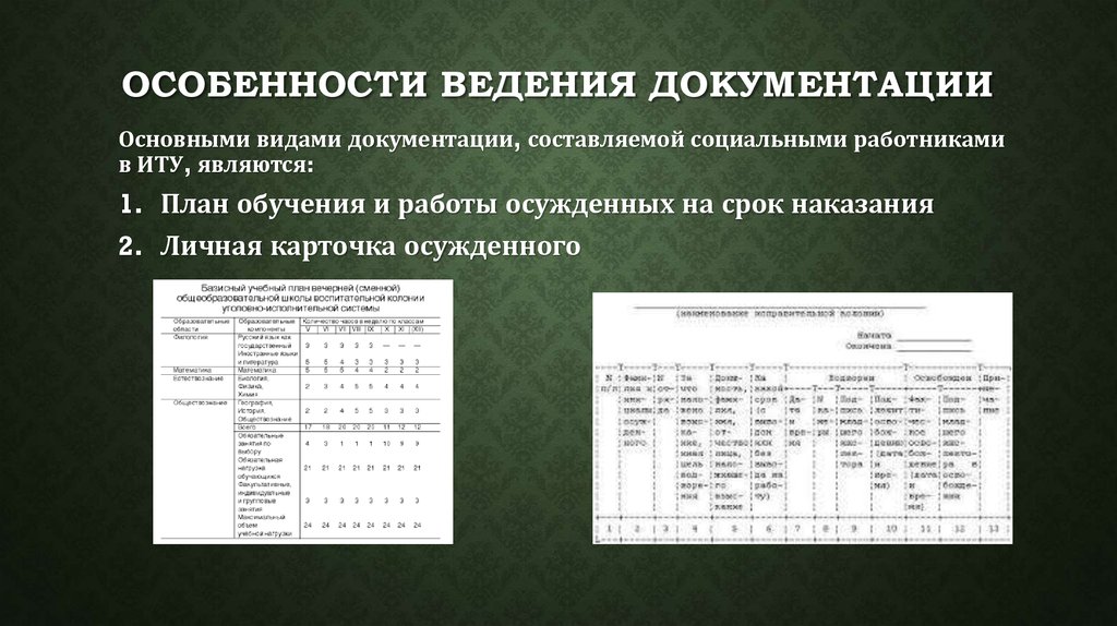 Социальная работа в пенитенциарной системе презентация