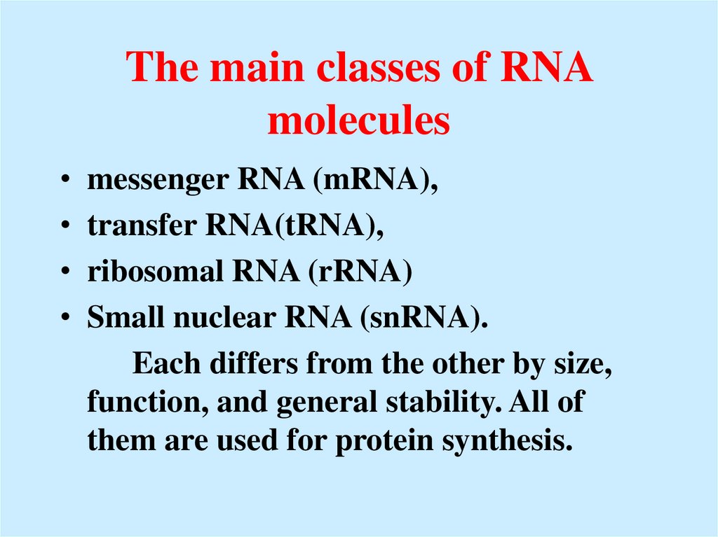 The main classes of RNA molecules