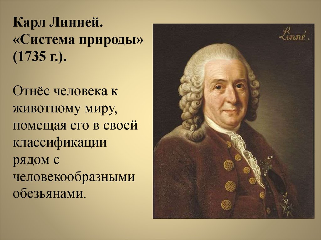 К линней. Карл фон Линней. Карл Линней книга система природы. Система природы. Карл Линней вклад в эволюцию.