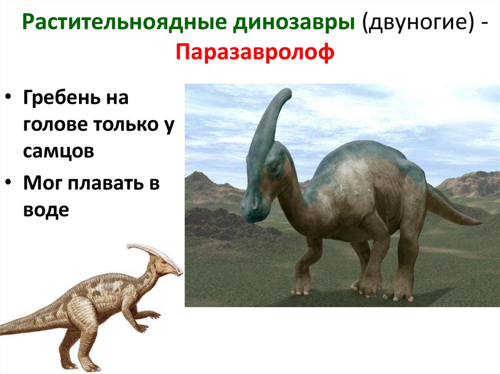 Динозавр с шапкой на голове название