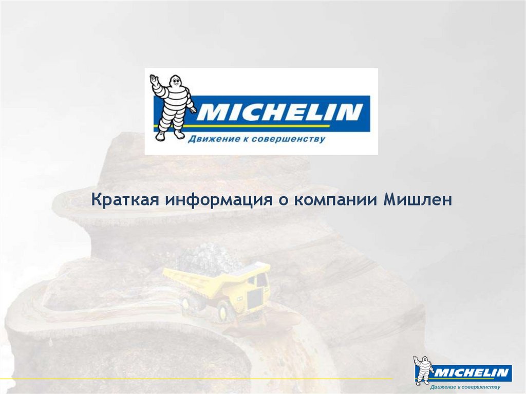 Краткая информация о компании Мишлен