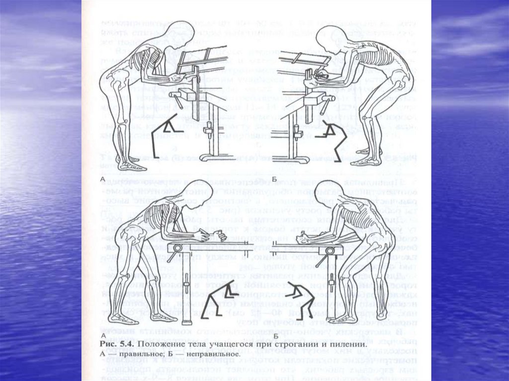 Положение рис