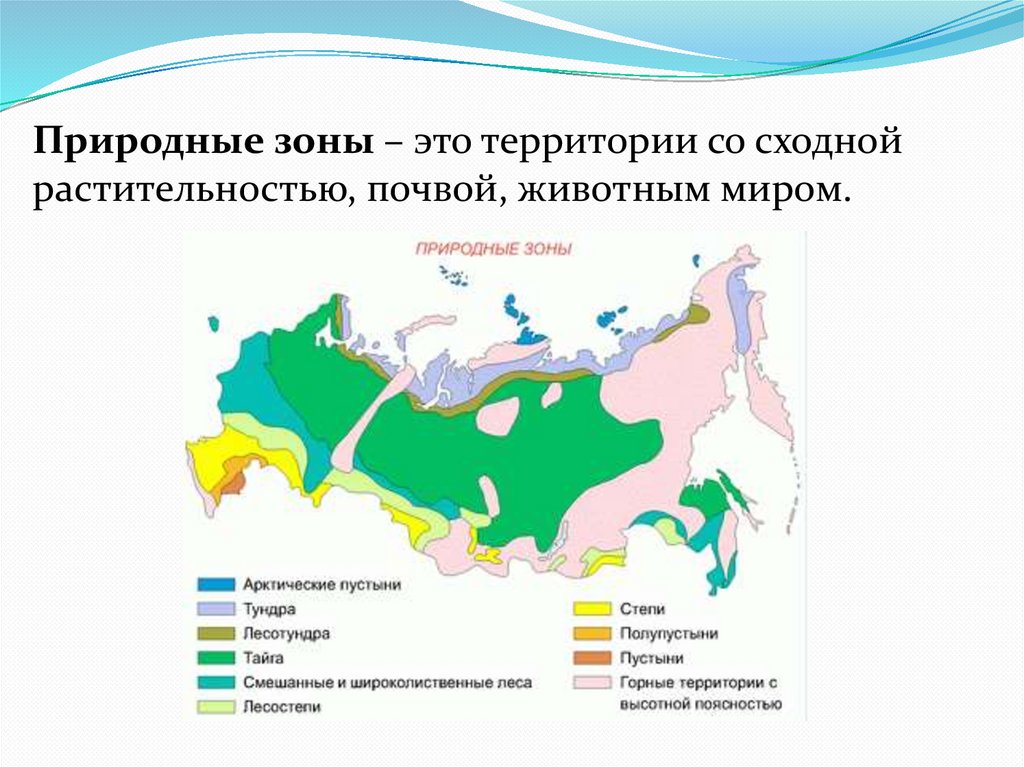 Какой природной зоны нет на европейской территории. Географическая карта природные зоны 8 класс. Географическая карта России с природными зонами 4 класс. Карта почв природных зон России. Зональные типы почв на территории России на контурной карте.