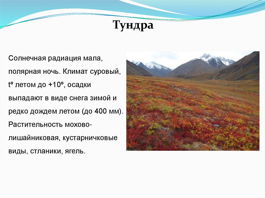 О какой природной зоне идет речь. Солнечная радиация в тундре. Осадки в тундре летом. Тундра России Солнечная радиация. Солнечная радиация в природных зонах.