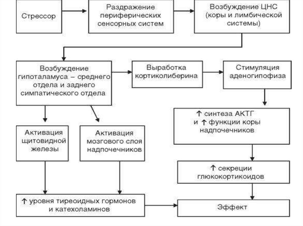 Общие реакции организма на повреждения презентация