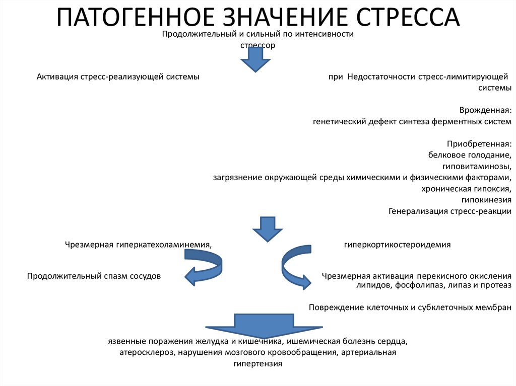 Механизмы развития стресса. Значение стресса. Защитно-приспособительное и патогенное значение стресса. Последствия длительного патогенного стресса. Адаптивное значение стресса.