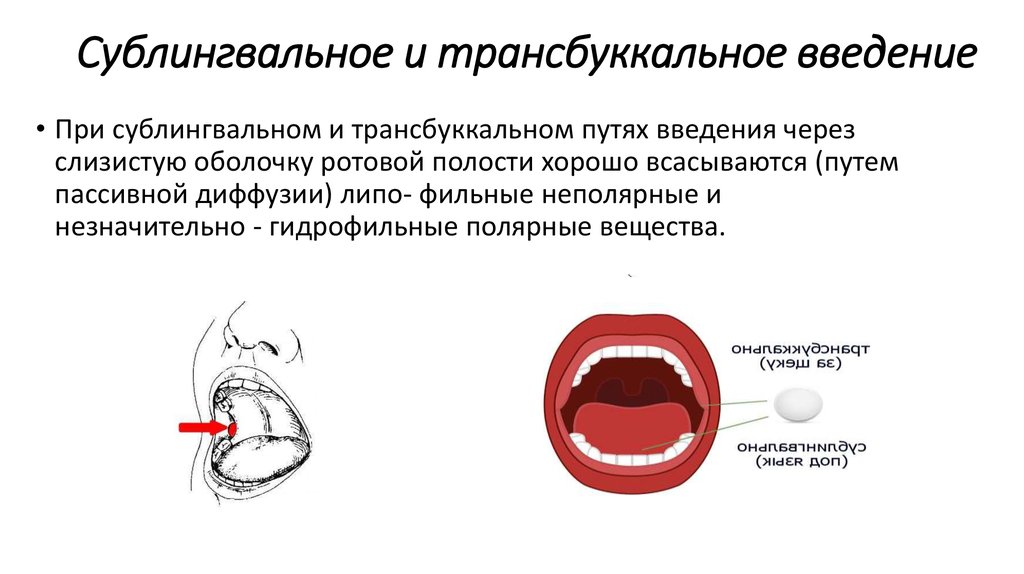 Слизист что значит. Трансбуккальный и сублингвальный. Сублингвальный способ введения лекарственных веществ. Сублингвальный путь введения лекарственных средств. Введение лекарственного средства сублингвально схема.