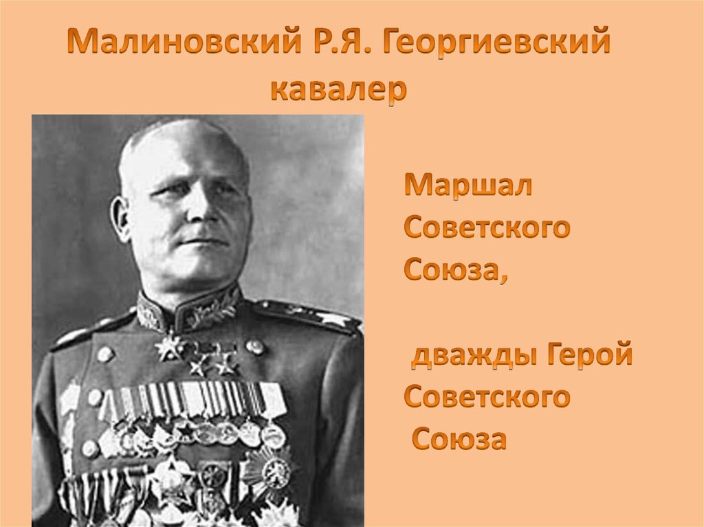 Информационно творческий проект по истории 8 класс георгиевские кавалеры