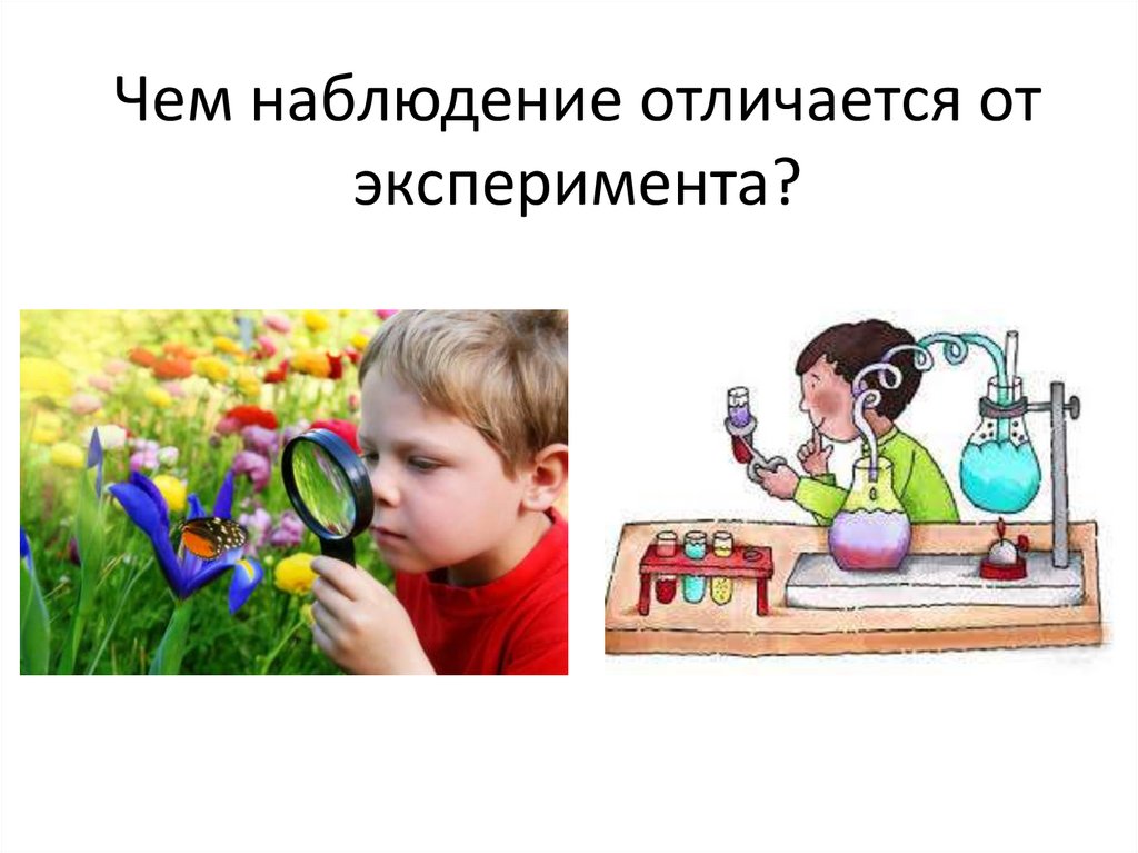 Наблюдение живые. Отличие эксперимента от наблюдения. Чем отличаются наблюдение и эксперимент. Чем наблюдение отличается от эксперимента. Чем различается наблюдение от эксперимента.