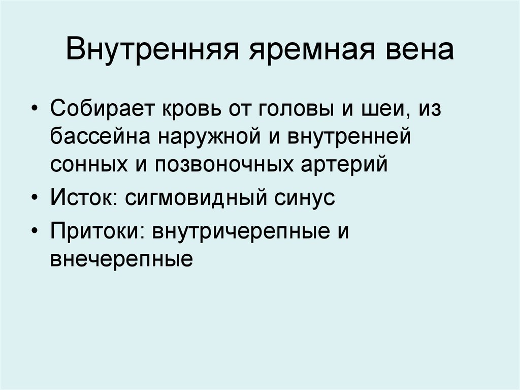 Внутренняя яремная