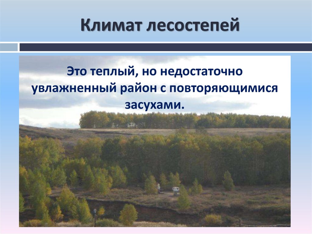 Особенности зоны лесостепи. Климат лесостепи. Зона лесостепи климат. Климатические условия лесостепи и степи. Природные условия лесостепи.