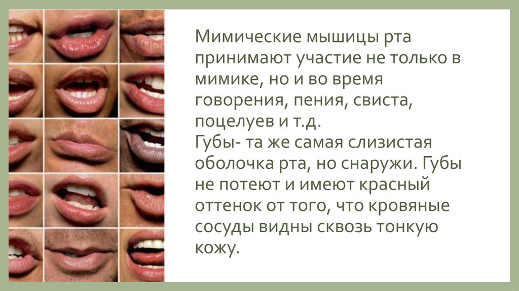Принимать через рот. Тренировка мимических мышц при поцелуе. Губы являются главным инструментом в говорении.