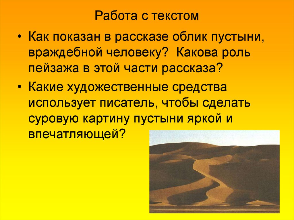 Внешний облик пустыни. Внешний облик пустынь. Пустыня внешний облик. Внешний облик пустыни в России. Пустыня Типичный внешний облик.