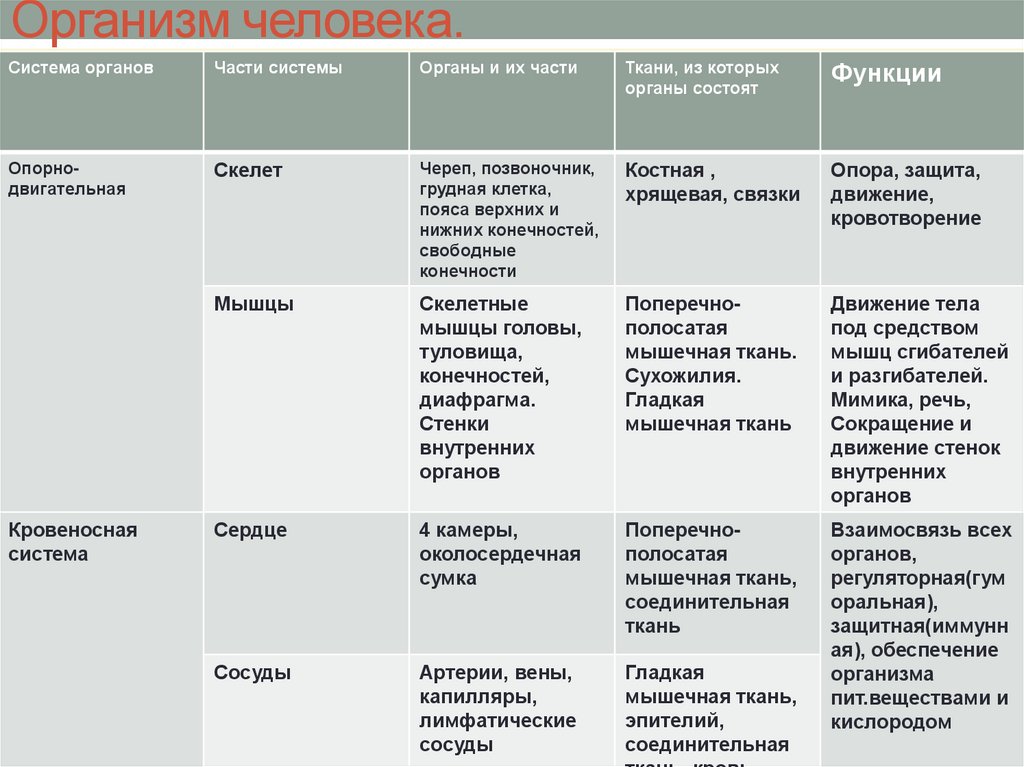 Особенности строения организма. Таблица по биологии 7 класс ткани органы и системы органов. Ткани животных органы и системы органов 6 класс таблица. Ткани по биологии 7 класс таблица органы и системы органов и функций. Таблица по биологии система органов ткани и структуры.