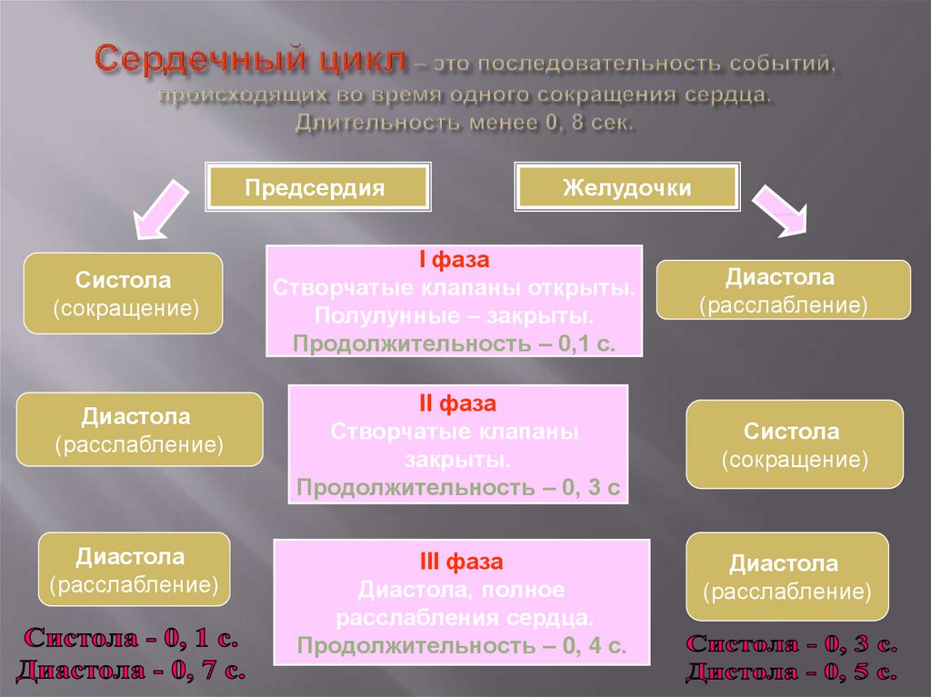 Ряд событий. Последовательность событий сердечного цикла. Последовательность сокращения сердца. Последовательность сердечного цикла. Последовательность фаз сердечного цикла.