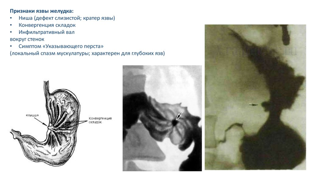 Вы точно человек?