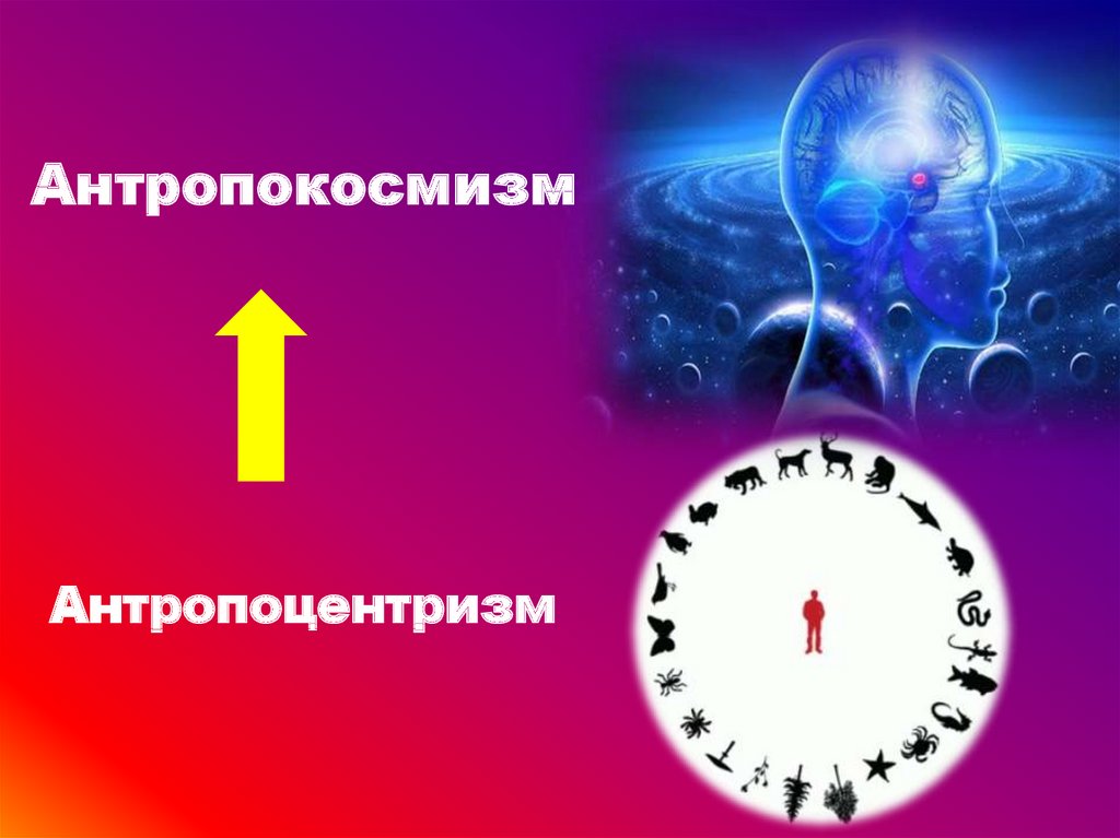 Мировоззренческая ориентация. Антропокосмизм.