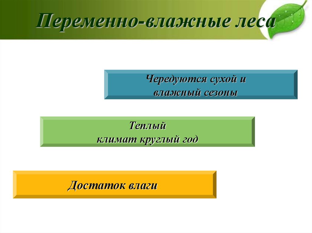 Переменно влажные леса презентация