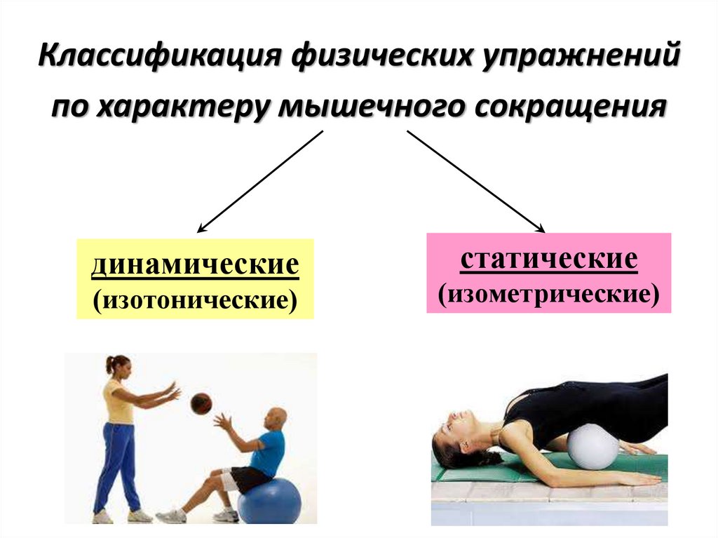 Физическое сокращение. Классификация физ упражнений. Физические упражнения по характеру мышечного сокращения. Упражнения делятся по характеру мышечного сокращения. Фу по характеру мышечного сокращения.