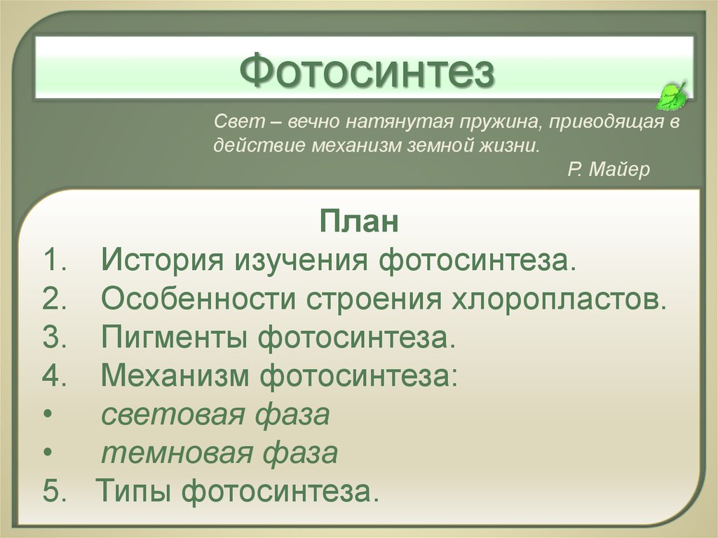 Типы фотосинтеза. Механизм фотосинтеза. История изучения фотосинтеза. Пигменты фотосинтеза.