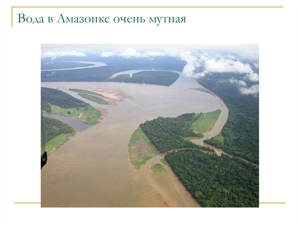 Амазонка полноводна круглый год. Воды амазонки. Мутная река Амазонка. Самая полноводная река Южной Америки. Самая широкая и полноводная река Северной Америки.