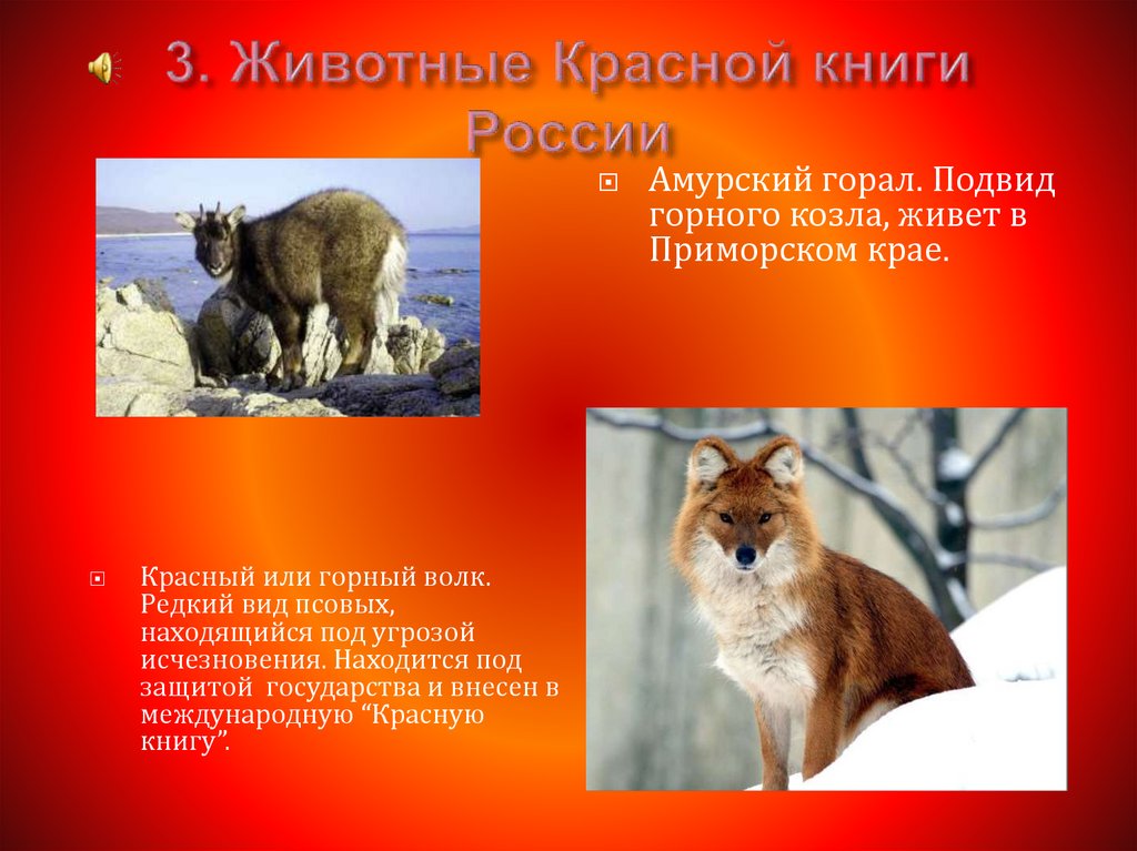 3. Животные Красной книги России