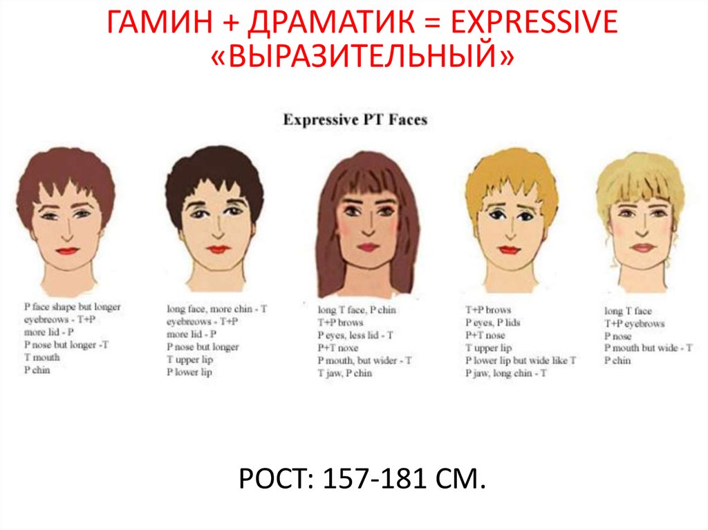 Типажи ларсон. Типажи Ларсон гамин Драматик. Тип лица гамин Драматик. Типажи Двин Ларсон натурал Драматик. Гамин типаж Ларсон.