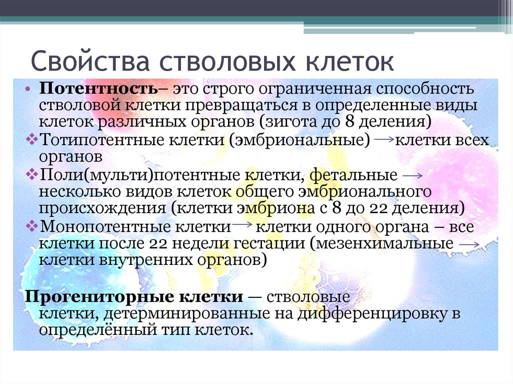 Кроме свойство. Свойства стволовых клеток. Стволовые клетки характеристика. Характеристика стволовой клетки. Основные свойства стволовых клеток.