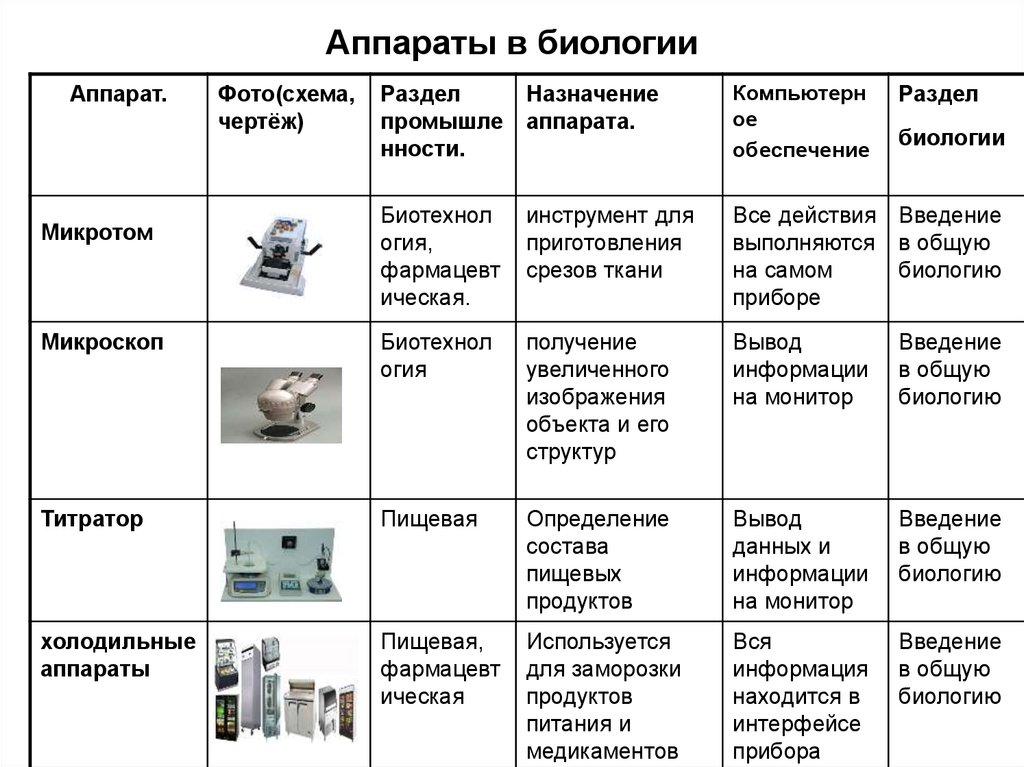 Продукт по биологии для проекта