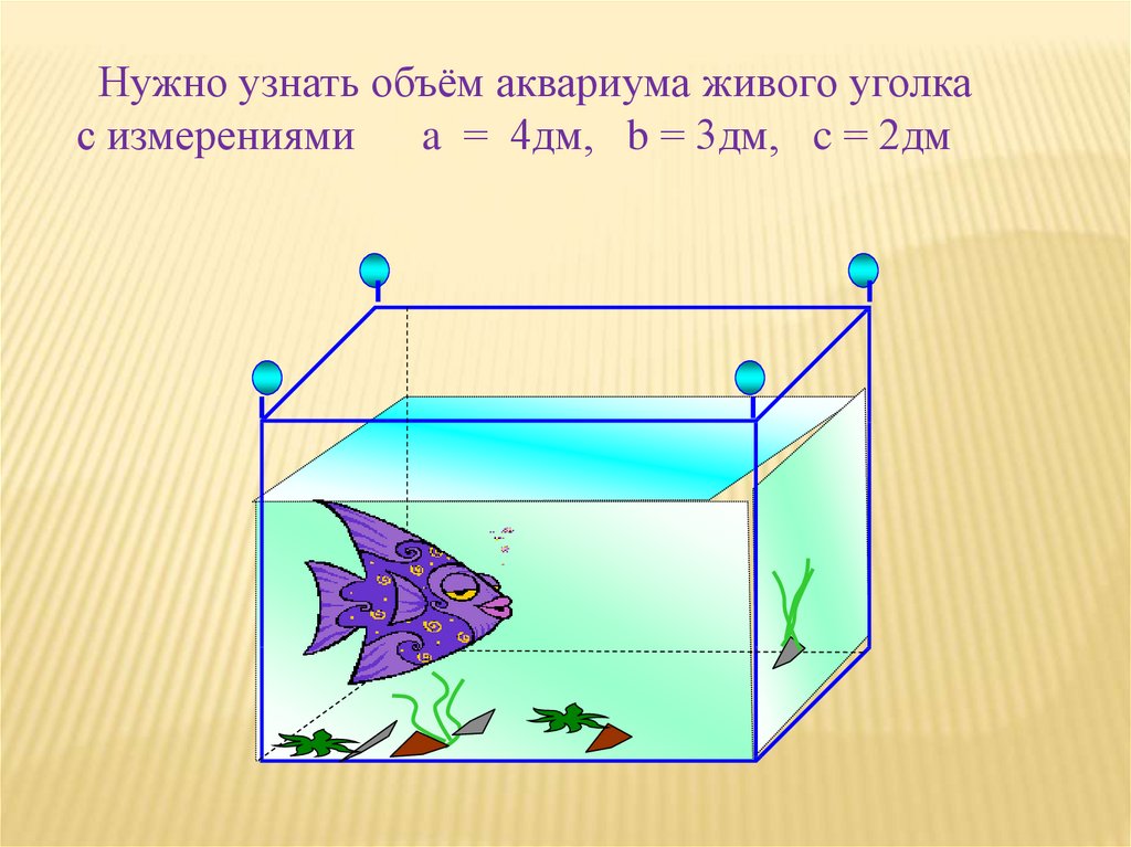 Коллекционер заказал аквариум имеющий форму правильной четырехугольной. Аквариум параллелепипед. Прямоугольный параллелепипед аквариум. Аквариум с водой параллелепипед. Аквариум длина ширина высота.
