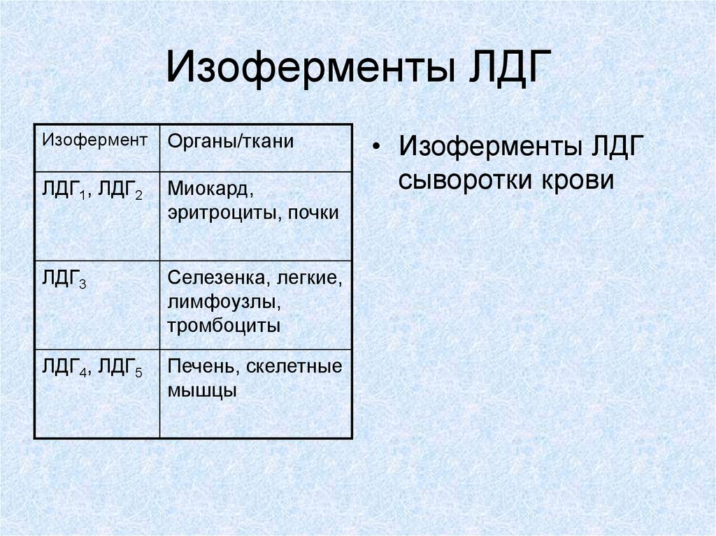 Фермент лдг