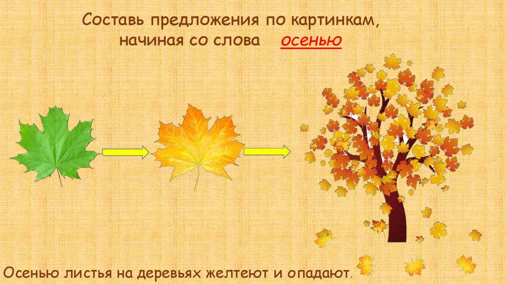 Предложение со словом листья. Листья на деревьях желтеют и опадают. Предложение про осенние деревья. Составить предложение со словом осень. Составление предложений по картинке по теме деревья.
