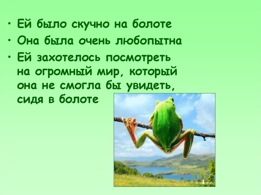 Составь план сказки перескажи эпизод который больше всего тебе запомнился лягушка путешественница