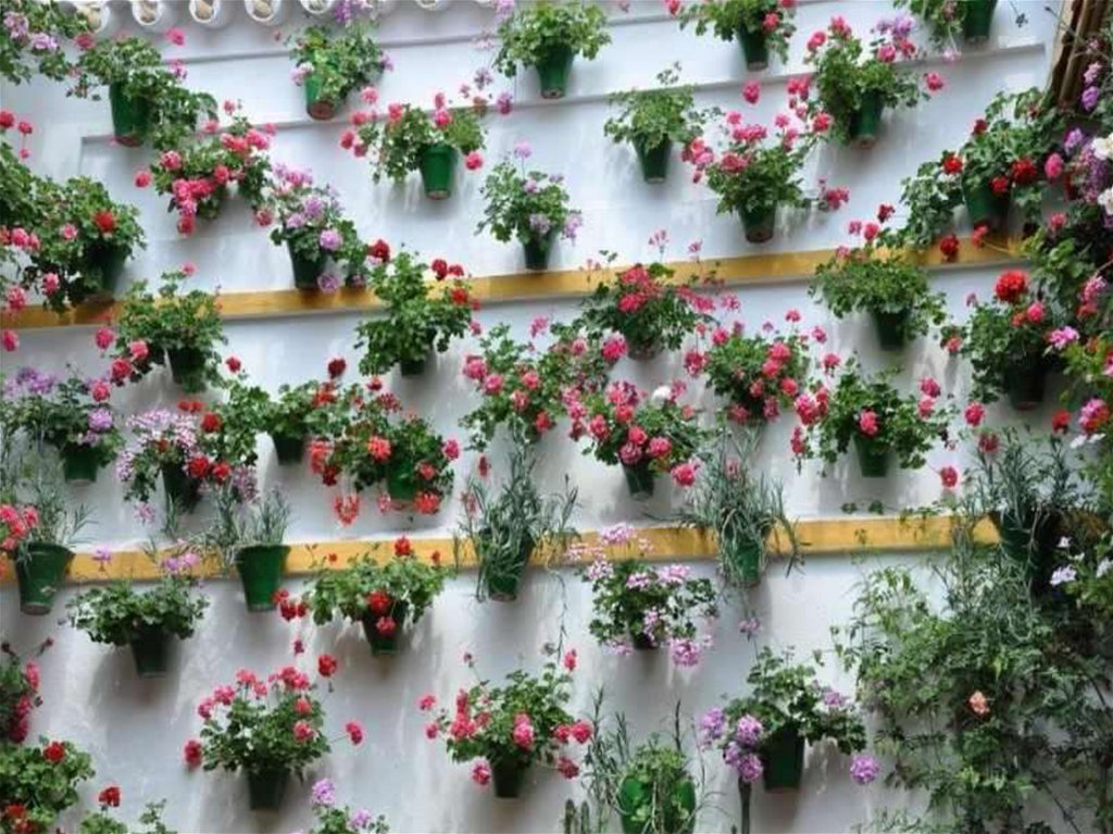 Стена Цветов Фото