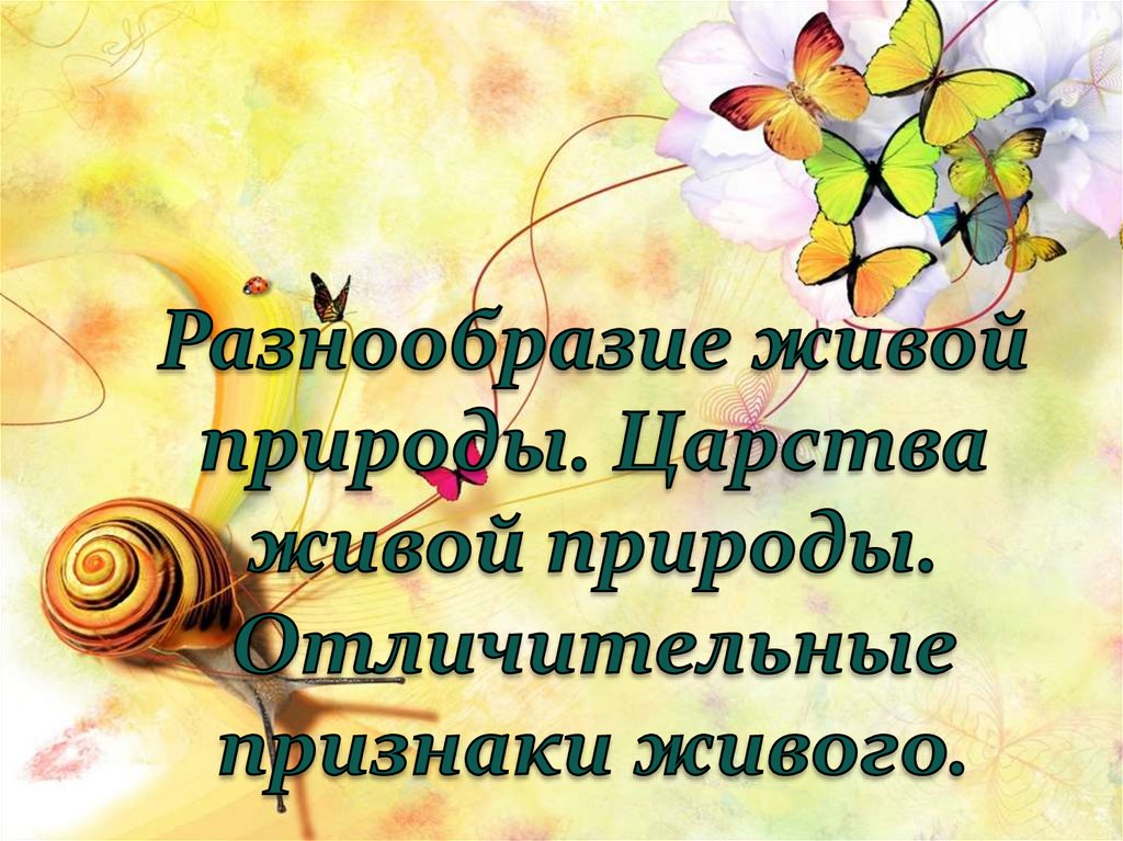 Разнообразие живой природы. Разнообразие живой природы 5 класс. Разнообразие живой природы отличительные признаки. Сообщение разнообразие живой природы 5 класс биология.