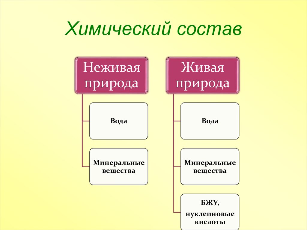 Презентация живой организм 5 класс. Химический состав неживой природы. Химический состав неживого вещества. Материя природа неживая Живая царства. Состав неживой кости.