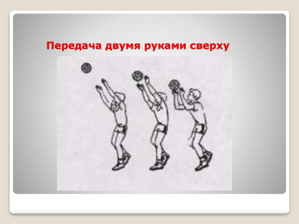 Подача одной рукой снизу. Передача мяча(сверху двумя руками ,снизу двумя руками в волейболе. Передача мяча двумя руками снизу в баскетболе. Передачи мяча двумя руками сверху и снизу над собой.. Техника: передача мяча сверху и снизу в баскетболе.