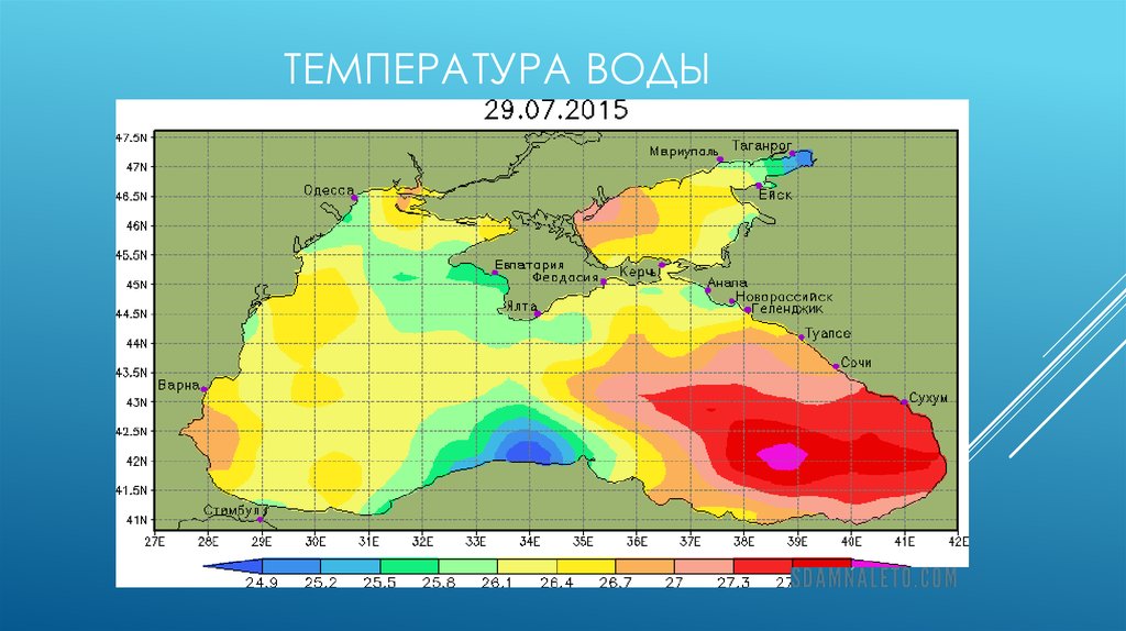 Температура черного моря сегодня новороссийск