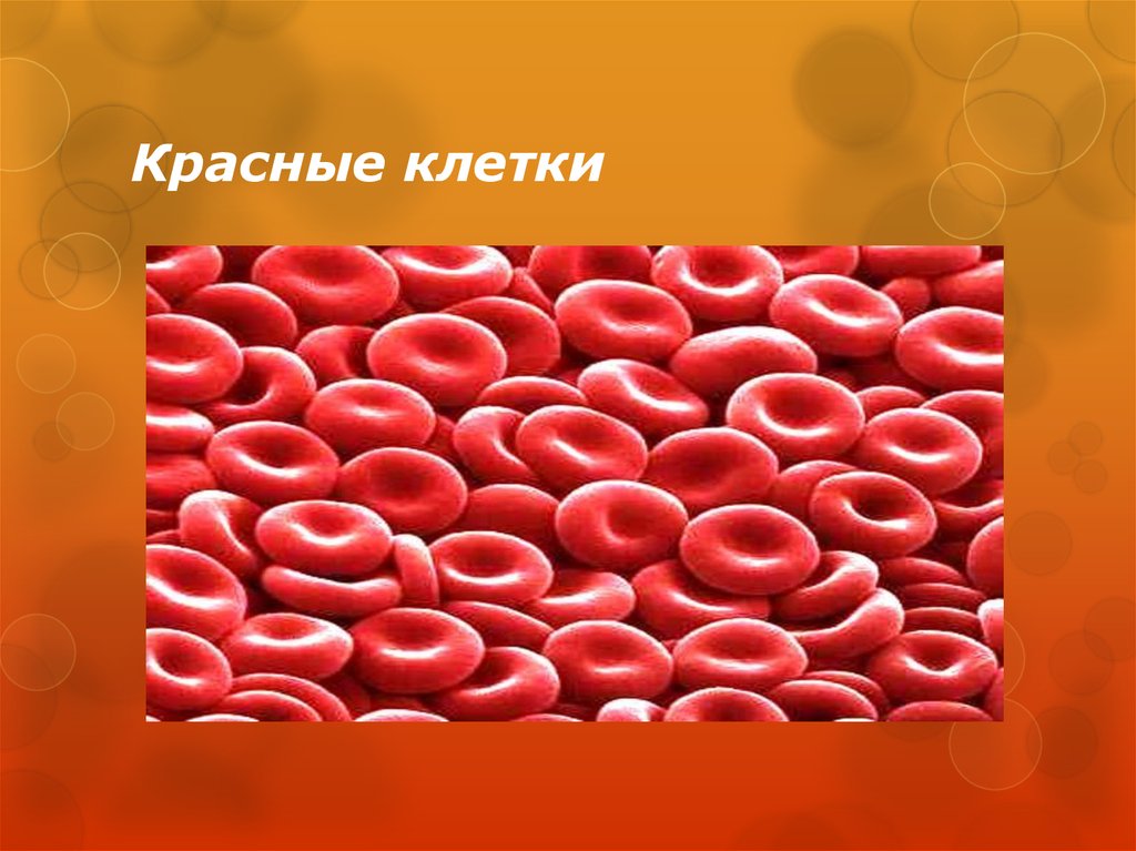 Красные клетки