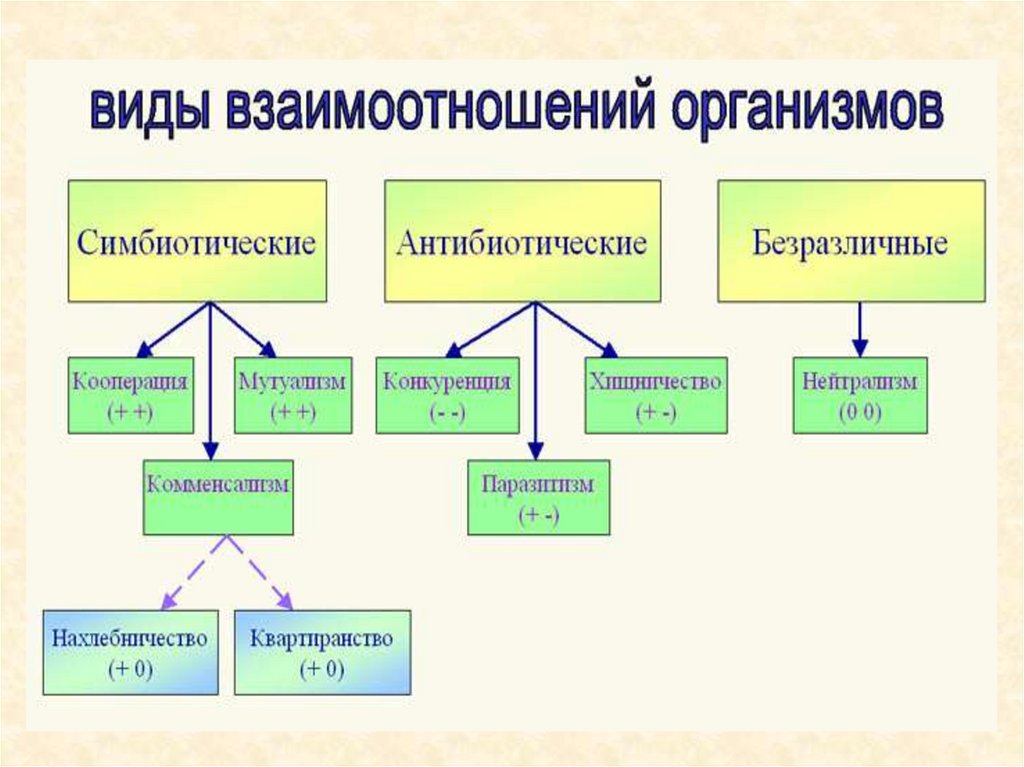 Типы взаимоотношений организмов 5 класс