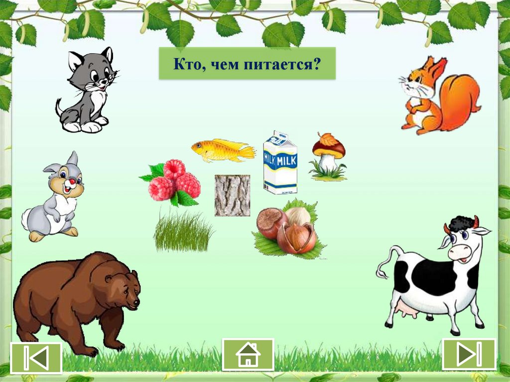 Игры любимые животные. Кто чем питается. Еда для домашних животных в картинках для детей. Кто чем питается дидактическая игра. Домашние животные для дошкольников.