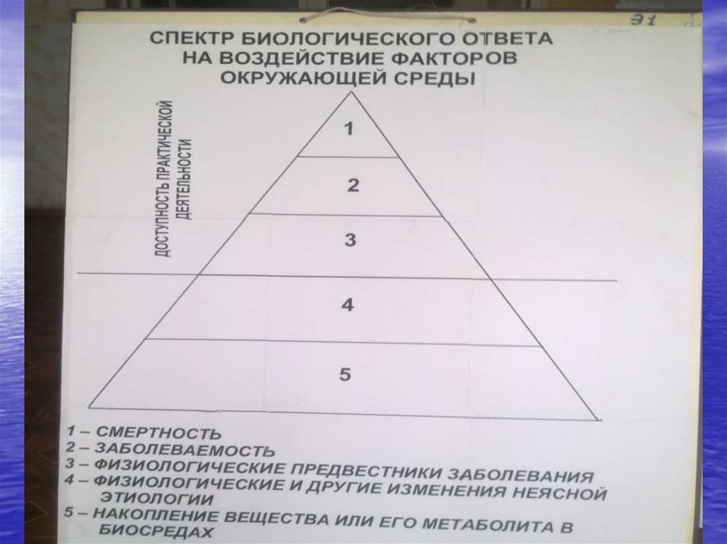 Биологический ответить. Биологический ответ на воздействие факторов окружающей среды.. Спектр биологических ответов. Пирамида биологических факторов. Биологический ответ.