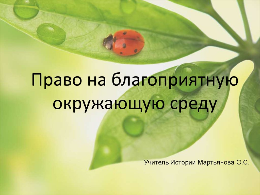 Ооо экологическое. Право на благоприятную окружающую среду. Права человека на благоприятную окружающую среду. Право на благоприятную среду. Право каждого на благоприятную окружающую среду.