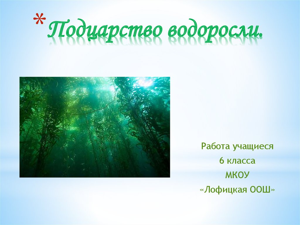 Водоросли 6 класс. Подцарство водоросли 6 класс. Водоросли презентация 6 класс. Реклама водорослей 6 класс.